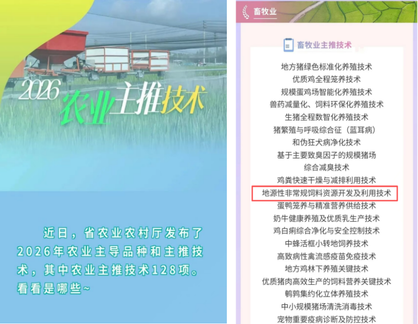 KS凯时·(中国区)官方网站